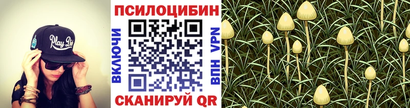 Галлюциногенные грибы мицелий  Сосновоборск 